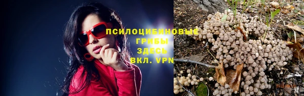 кокс Богданович