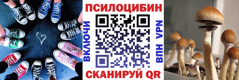 Псилоцибиновые грибы мухоморы  наркота  Мезень 